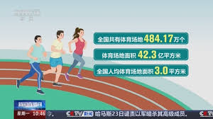 必一运动bsport体育 乒乓球台和乒乓球岸